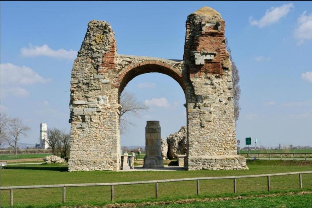 Terec Haus Daire Bruckneudorf Dış mekan fotoğraf